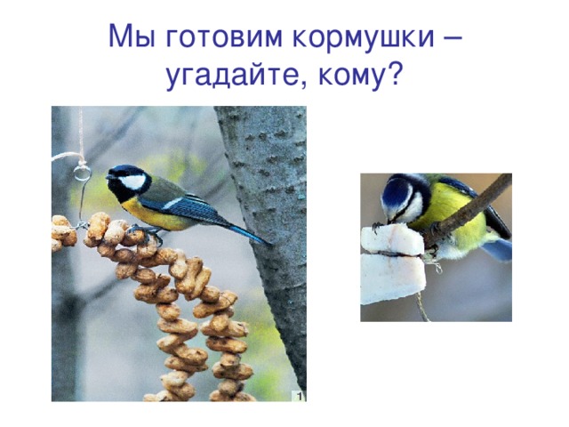 Мы готовим кормушки – угадайте, кому? 
