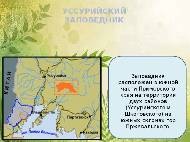 Какие заповедники находятся на территории приморского