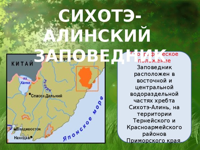 Сихотэ алинь находится. Сихотэ-Алинский заповедник географическое положение. Центральный Сихотэ-Алинь местоположение.