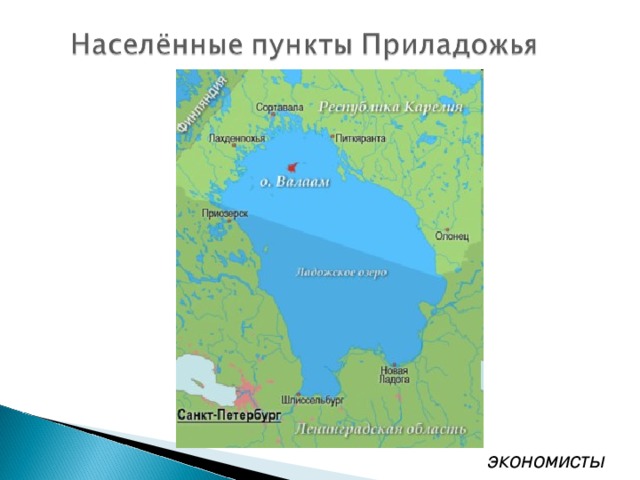 экономисты 