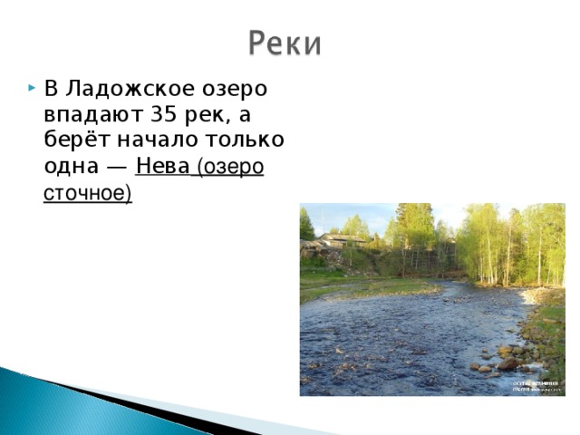 В Ладожское озеро впадают 35 рек, а берёт начало только одна —  Нева (озеро сточное)  