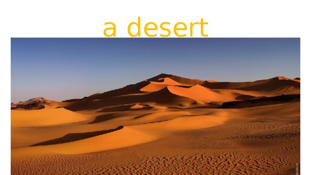 a desert 