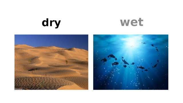 wet dry 