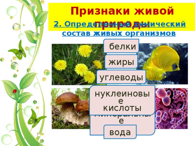 Растения признаки живых организмов