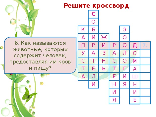 Решите кроссворд С О К Б А И П Ж Р У А З И С Т Т З Р О О Н Е А А Л С Ь Л О Т И Г Е И Н Я И Я 6. Как называются животные, которых содержит человек, предоставляя им кров и пищу? 6. 7. Д О М А Ш Н И Е 