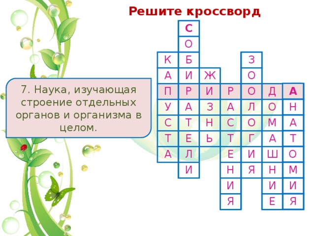 Решите кроссворд С О К Б А И П Р Ж У А З И С Т З Т О Р Е Н А О А С Л Ь Л Д О Т О И Г М Е Н И А Я И Ш Я Н И Е 7. Наука, изучающая строение отдельных органов и организма в целом. 7. А Н А Т О М И Я 