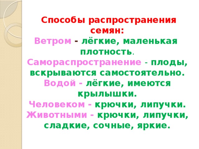 Какими способами распространяются. Способы распространения семян. Способы распространения семян ветром. Распространение плодов и семян ветром. Способы распространения семян человеком.