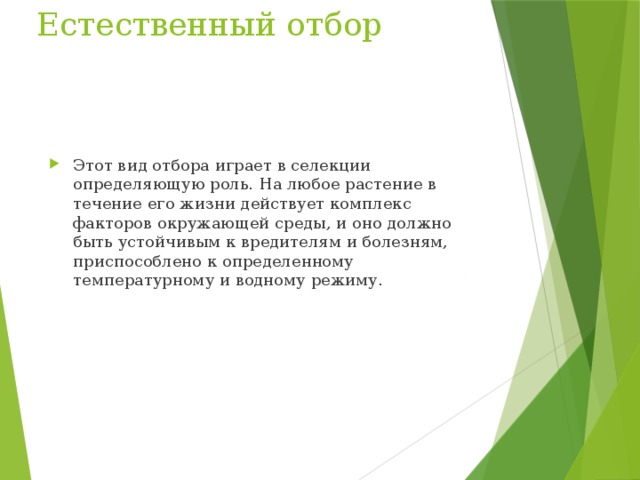 Естественный отбор Этот вид отбора играет в селекции определяющую роль. На любое растение в течение его жизни действует комплекс факторов окружающей среды, и оно должно быть устойчивым к вредителям и болезням, приспособлено к определенному температурному и водному режиму. 