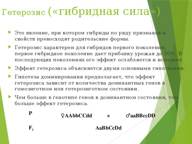 Гибридной силой называют. Гетерозис гибридная сила. Причины гетерозиса. Гетерозис в селекции растений. Гетерозис примеры.