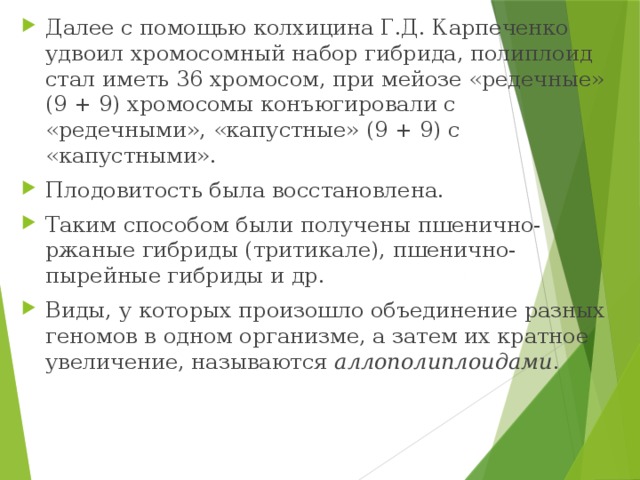 Далее с помощью колхицина Г.Д. Карпеченко удвоил хромосомный набор гибрида, полиплоид стал иметь 36 хромосом, при мейозе «редечные» (9 + 9) хромосомы конъюгировали с «редечными», «капустные» (9 + 9) с «капустными». Плодовитость была восстановлена. Таким способом были получены пшенично-ржаные гибриды (тритикале), пшенично-пырейные гибриды и др. Виды, у которых произошло объединение разных геномов в одном организме, а затем их кратное увеличение, называются аллополиплоидами . 