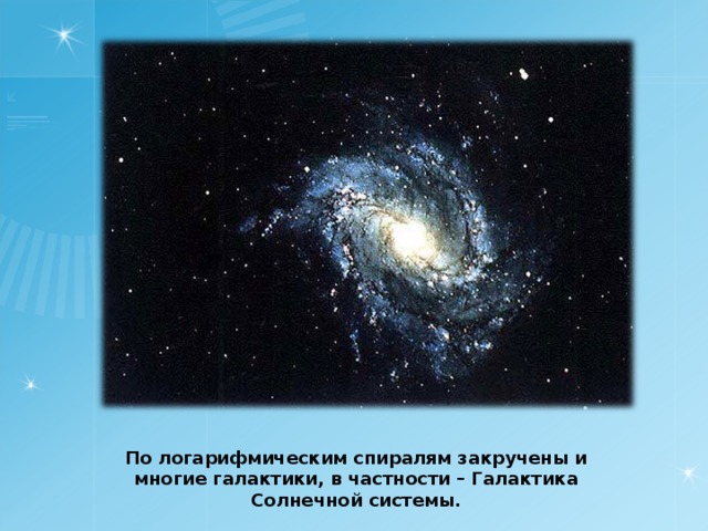 По логарифмическим спиралям закручены и многие галактики, в частности – Галактика Солнечной системы. 