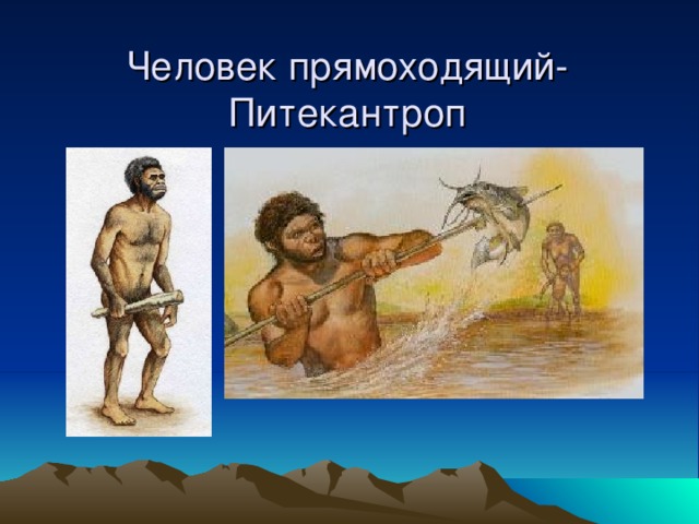 Человек прямоходящий-Питекантроп 