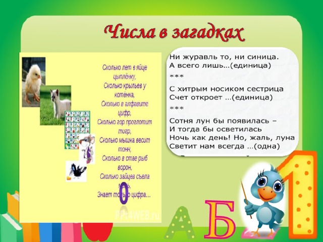 Проект числа в спорте