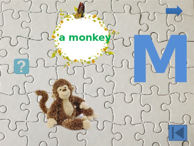 M a monkey 