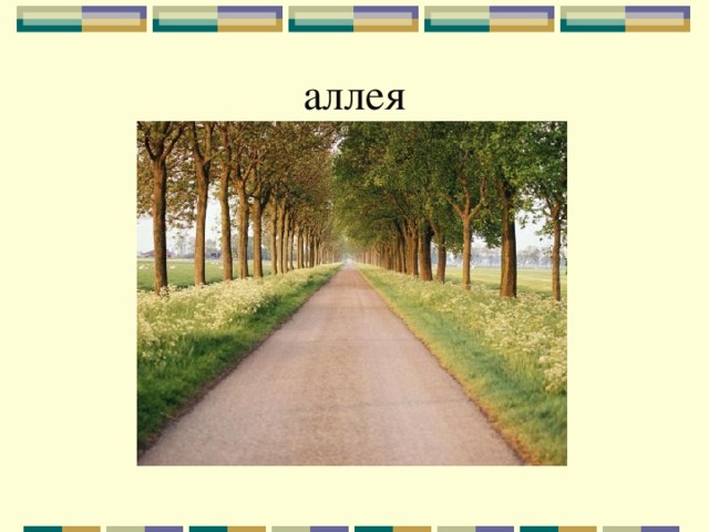 аллея 
