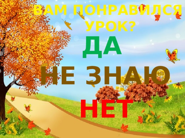ВАМ ПОНРАВИЛСЯ УРОК? ДА НЕ ЗНАЮ НЕТ