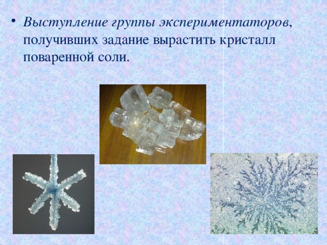 Выступление группы экспериментаторов , получивших задание вырастить кристалл поваренной соли. 