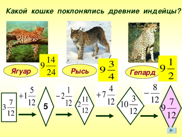 Какой кошке поклонялись древние индейцы? Рысь Ягуар Гепард 5 6 