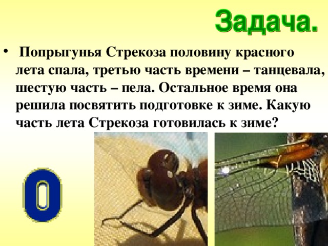  Попрыгунья Стрекоза половину красного лета спала, третью часть времени – танцевала, шестую часть – пела. Остальное время она решила посвятить подготовке к зиме. Какую часть лета Стрекоза готовилась к зиме? 