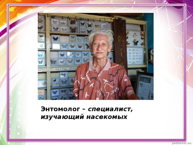 Энтомолог – специалист, изучающий насекомых 