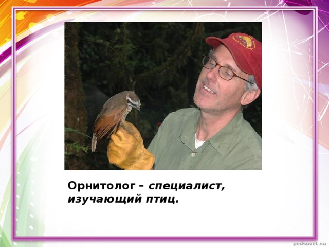 Орнитолог – специалист, изучающий птиц. 