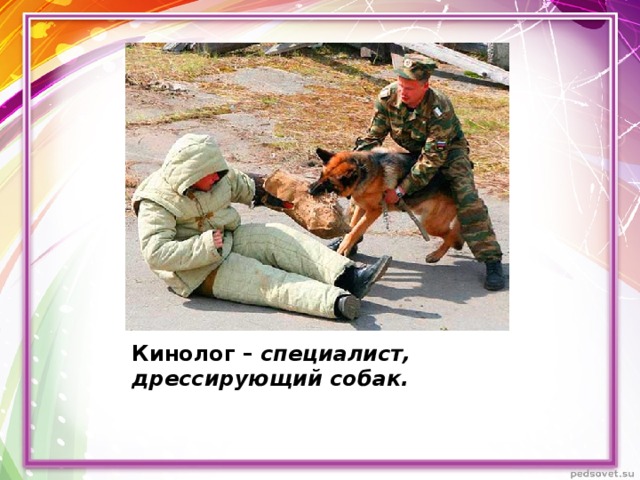 Кинолог – специалист, дрессирующий собак. 