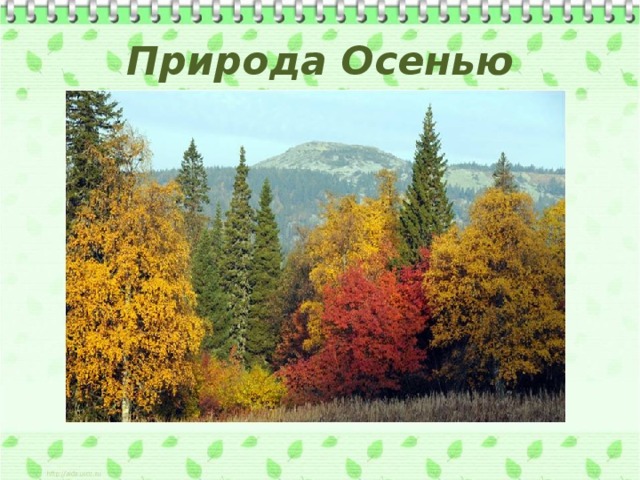 Природа Осенью 