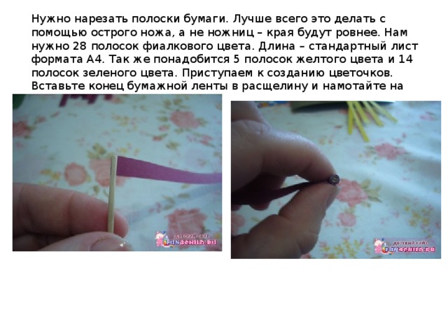 Нужно нарезать полоски бумаги. Лучше всего это делать с помощью острого ножа, а не ножниц – края будут ровнее. Нам нужно 28 полосок фиалкового цвета. Длина – стандартный лист формата А4. Так же понадобится 5 полосок желтого цвета и 14 полосок зеленого цвета. Приступаем к созданию цветочков. Вставьте конец бумажной ленты в расщелину и намотайте на стержень или зубочистку 