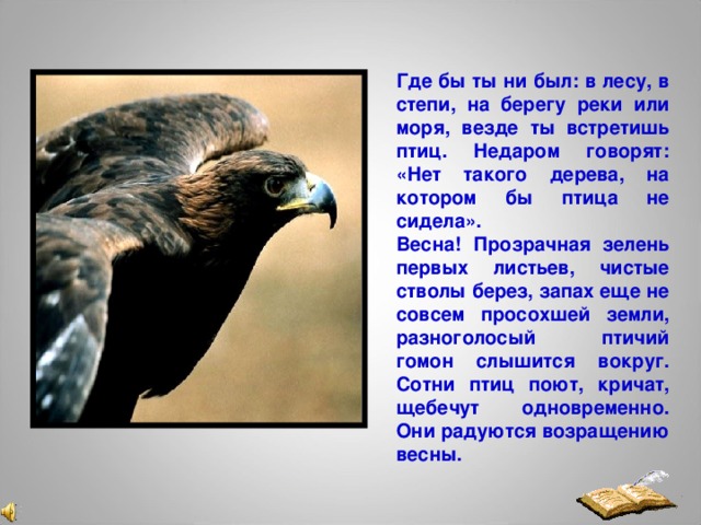 Где бы ты ни был: в лесу, в степи, на берегу реки или моря, везде ты встретишь птиц. Недаром говорят: «Нет такого дерева, на котором бы птица не сидела». Весна! Прозрачная зелень первых листьев, чистые стволы берез, запах еще не совсем просохшей земли, разноголосый птичий гомон слышится вокруг. Сотни птиц поют, кричат, щебечут одновременно. Они радуются возращению весны.