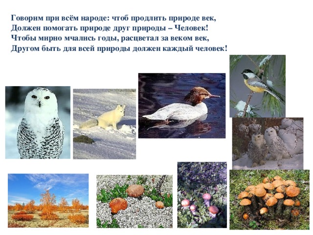 Говорим при всём народе: чтоб продлить природе век,  Должен помогать природе друг природы – Человек!  Чтобы мирно мчались годы, расцветал за веком век,  Другом быть для всей природы должен каждый человек!