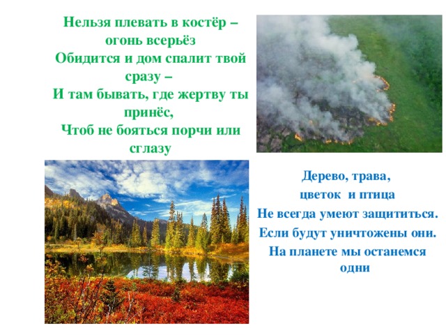 Нельзя плевать в костёр – огонь всерьёз  Обидится и дом спалит твой сразу –  И там бывать, где жертву ты принёс,  Чтоб не бояться порчи или сглазу Дерево, трава, цветок и птица Не всегда умеют защититься. Если будут уничтожены они. На планете мы останемся одни