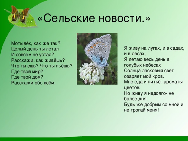 «Сельские новости.» Мотылёк, как же так? Целый день ты летал И совсем не устал? Расскажи, как живёшь? Что ты ешь? Что ты пьёшь? Где твой мир? Где твой дом? Расскажи обо всём. Я живу на лугах, и в садах, и в лесах, Я летаю весь день в голубых небесах Солнца ласковый свет озаряет мой кров. Мне еда и питьё- ароматы цветов. Но живу я недолго- не более дня. Будь же добрым со мной и не трогай меня! 