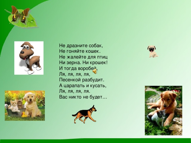 Не дразните собак, Не гоняйте кошек. Не жалейте для птиц Ни зерна. Ни крошек! И тогда воробей, Ля, ля, ля, ля, Песенкой разбудит. А царапать и кусать, Ля, ля, ля, ля. Вас никто не будет… 