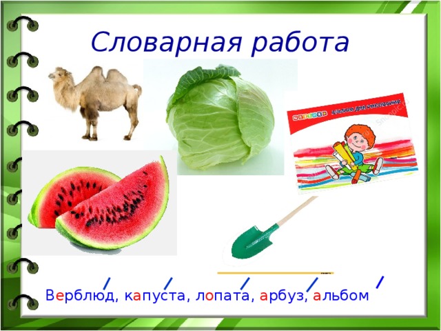 Словарная работа В е рблюд, к а пуста, л о пата, а рбуз, а льбом