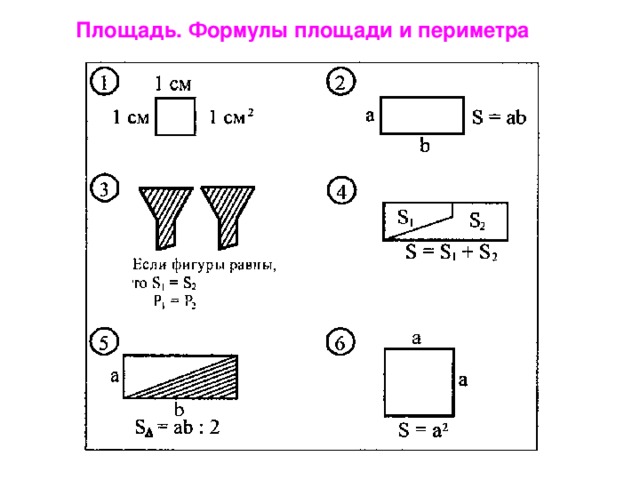 Площадь. Формулы площади и периметра 