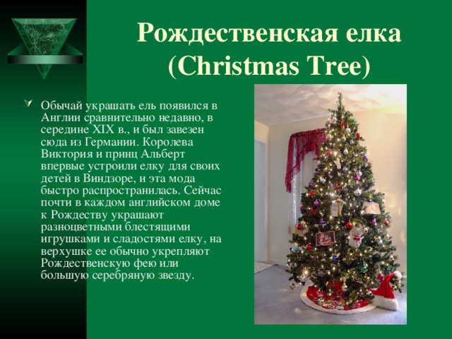 Рождественская елка  (Christmas Tree) Обычай украшать ель появился в Англии сравнительно недавно, в середине XIX в., и был завезен сюда из Германии. Королева Виктория и принц Альберт впервые устроили елку для своих детей в Виндзоре, и эта мода быстро распространилась. Сейчас почти в каждом английском доме к Рождеству украшают разноцветными блестящими игрушками и сладостями елку, на верхушке ее обычно укрепляют Рождественскую фею или большую серебряную звезду.   