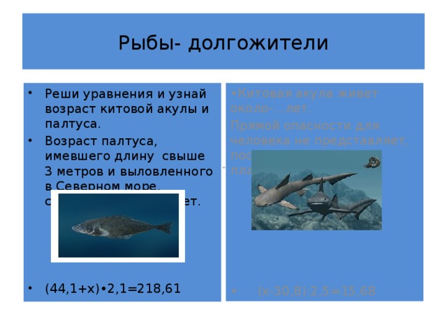 Рыбы- долгожители • Китовая акула живет около-…лет. Реши уравнения и узнай возраст китовой акулы и палтуса. Возраст палтуса, имевшего длину свыше 3 метров и выловленного в Северном море, составлял около-…лет. Прямой опасности для человека не представляет, поскольку питается планктоном. (44,1+х)•2,1=218,61 • (х-30,8):2,5=15,68 