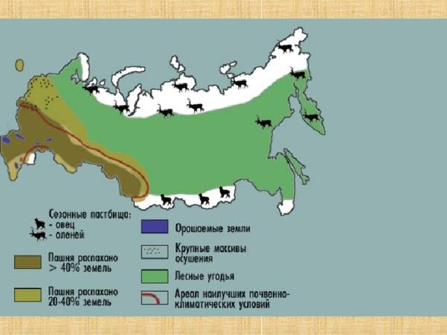 Природные ресурсы россии фото