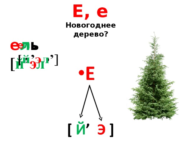 Е, е Новогоднее дерево? е л ь    [ й ’ э л ’ 