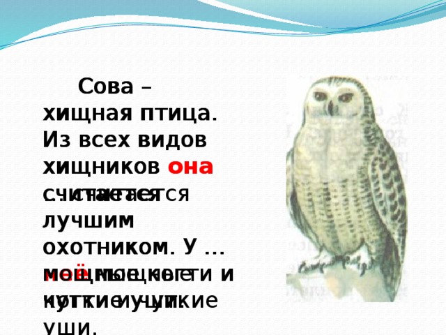 Не поддались переполоху только ночные хищники совы да филины схема предложения