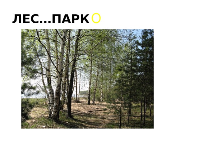 ЛЕС…ПАРК О
