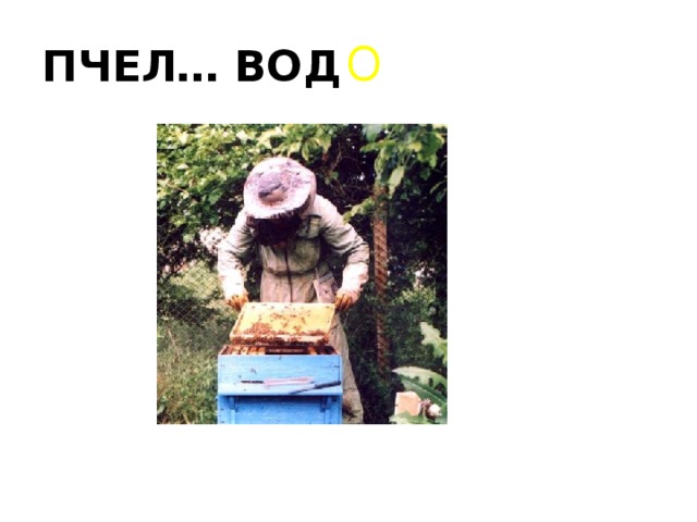 ПЧЕЛ… ВОД О
