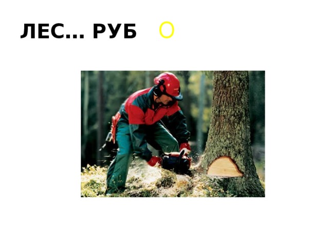 ЛЕС… РУБ О