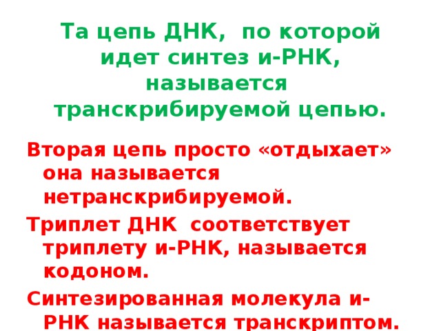 Та цепь ДНК, по которой идет синтез и-РНК, называется транскрибируемой цепью. Вторая цепь просто «отдыхает» она называется нетранскрибируемой. Триплет ДНК соответствует триплету и-РНК, называется кодоном. Синтезированная молекула и-РНК называется транскриптом. 