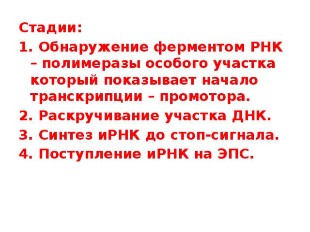 Стадии: 1. Обнаружение ферментом РНК – полимеразы особого участка который показывает начало транскрипции – промотора. 2. Раскручивание участка ДНК. 3. Синтез иРНК до стоп-сигнала. 4. Поступление иРНК на ЭПС. 