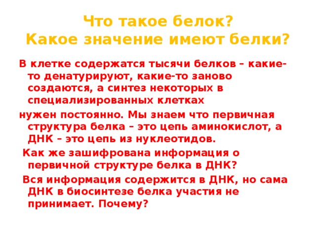 Тысяча содержать. Белок. Клетки для белок. Белков. Какое значение имеют белки в клетке.