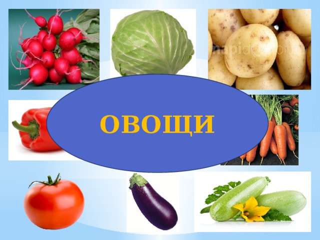 ОВОЩИ 