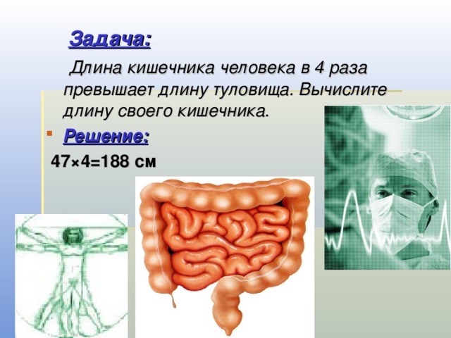  Задача:  Длина кишечника человека в 4 раза превышает длину туловища. Вычислите длину своего кишечника. Решение:  47×4=188 см 