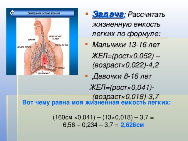 Задача : Рассчитать жизненную емкость легких по формуле: Мальчики 13-16 лет  ЖЕЛ=(рост×0,052) – (возраст×0,022)-4,2 Девочки 8-16 лет  ЖЕЛ=(рост×0,041)-(возраст×0,018)-3,7  Вот чему равна моя жизненная емкость легких: (160см ×0,041) – (13×0,018) – 3,7 = 6,56 – 0,234 – 3,7 = 2,626см 