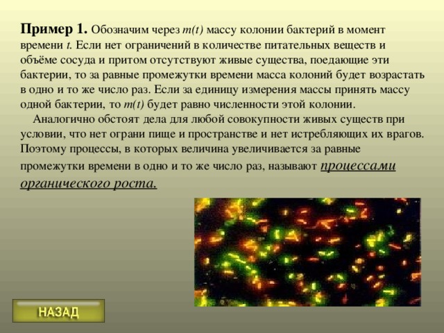 Пример 1.  Обозначим через m(t) массу колонии бактерий в момент времени t . Если нет ограничений в количестве питательных веществ и объёме сосуда и притом отсутствуют живые существа, поедающие эти бактерии, то за равные промежутки времени масса колоний будет возрастать в одно и то же число раз. Если за единицу измерения массы принять массу одной бактерии, то m(t) будет равно численности этой колонии.  Аналогично обстоят дела для любой совокупности живых существ при условии, что нет ограни пище и пространстве и нет истребляющих их врагов. Поэтому процессы, в которых величина увеличивается за равные промежутки времени в одно и то же число раз, называют  процессами органического роста. 